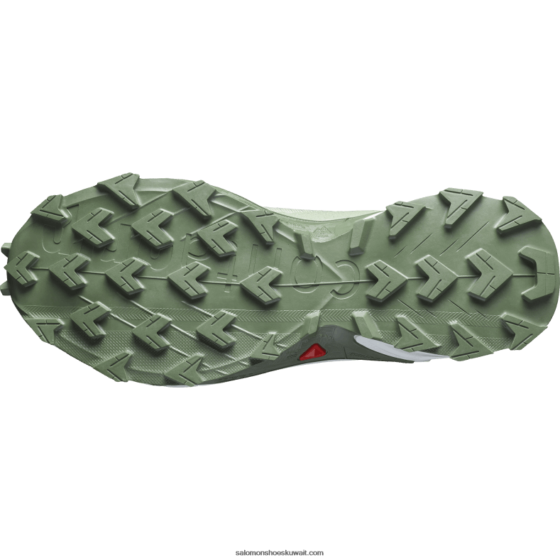⁦أحذية الجري النسائية - alphacross 4 gore-tex Salomon حكيم الصحراء / أبيض / إكليل الغار B8DLV1531⁩ - الصورة ⁦2⁩