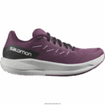 أحذية الجري النسائية - Spectur Salomon توليبوود / صخرة القمر / نبيذ العنب B8DLV748