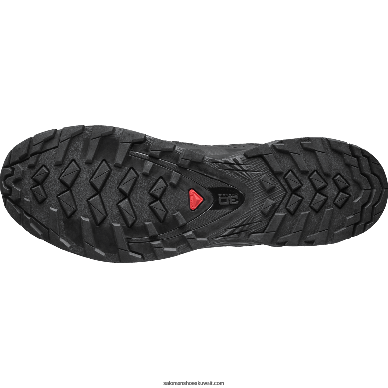 ⁦حذاء الجري Trail للرجال - XA Pro 3D V8 Gore-tex Salomon أسود B8DLV1482⁩ - الصورة ⁦2⁩