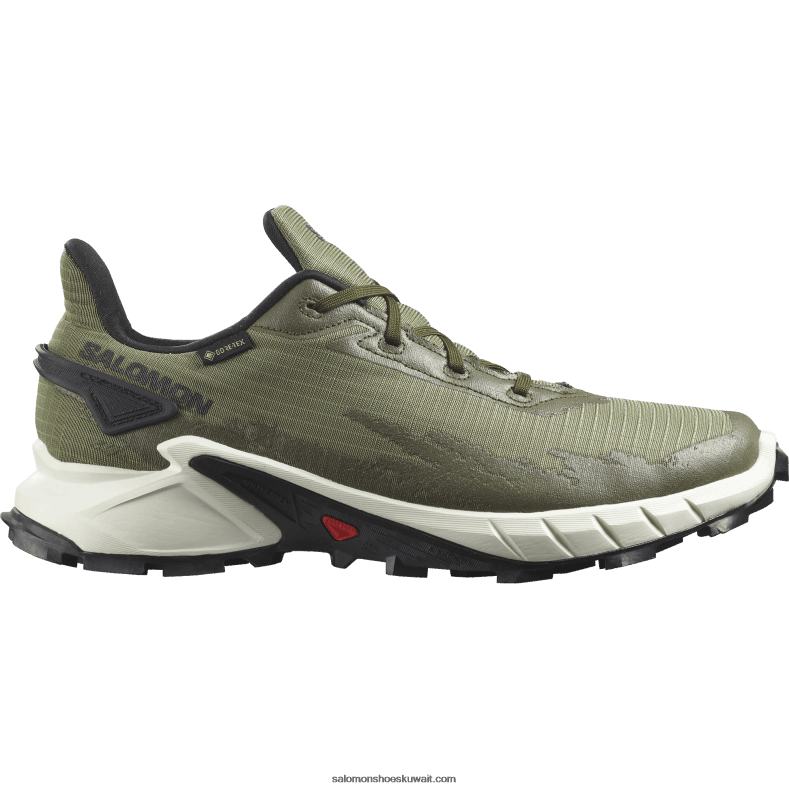 ⁦حذاء جري للرجال - alphacross 4 gore-tex Salomon حزاز أخضر عميق / جليد فانيليا / ليل زيتون B8DLV1476⁩ - الصورة ⁦1⁩