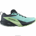 حذاء جري للسيدات - Sense Ride 5 gore-tex Salomon إشعاع أزرق / رماد أخضر / حبر الهند B8DLV1528