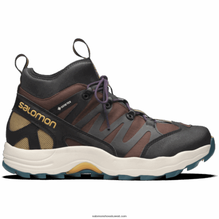 حذاء رياضي رجالي - XA Pro 1 Mid Gore-Tex Salomon فندان شوكولاتة / أرووود / أسود B8DLV198